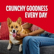 Milk Bone Flavor Snacks Small Dog Biscuits, Flavored Crunchy Dog Treats, 60 oz Box