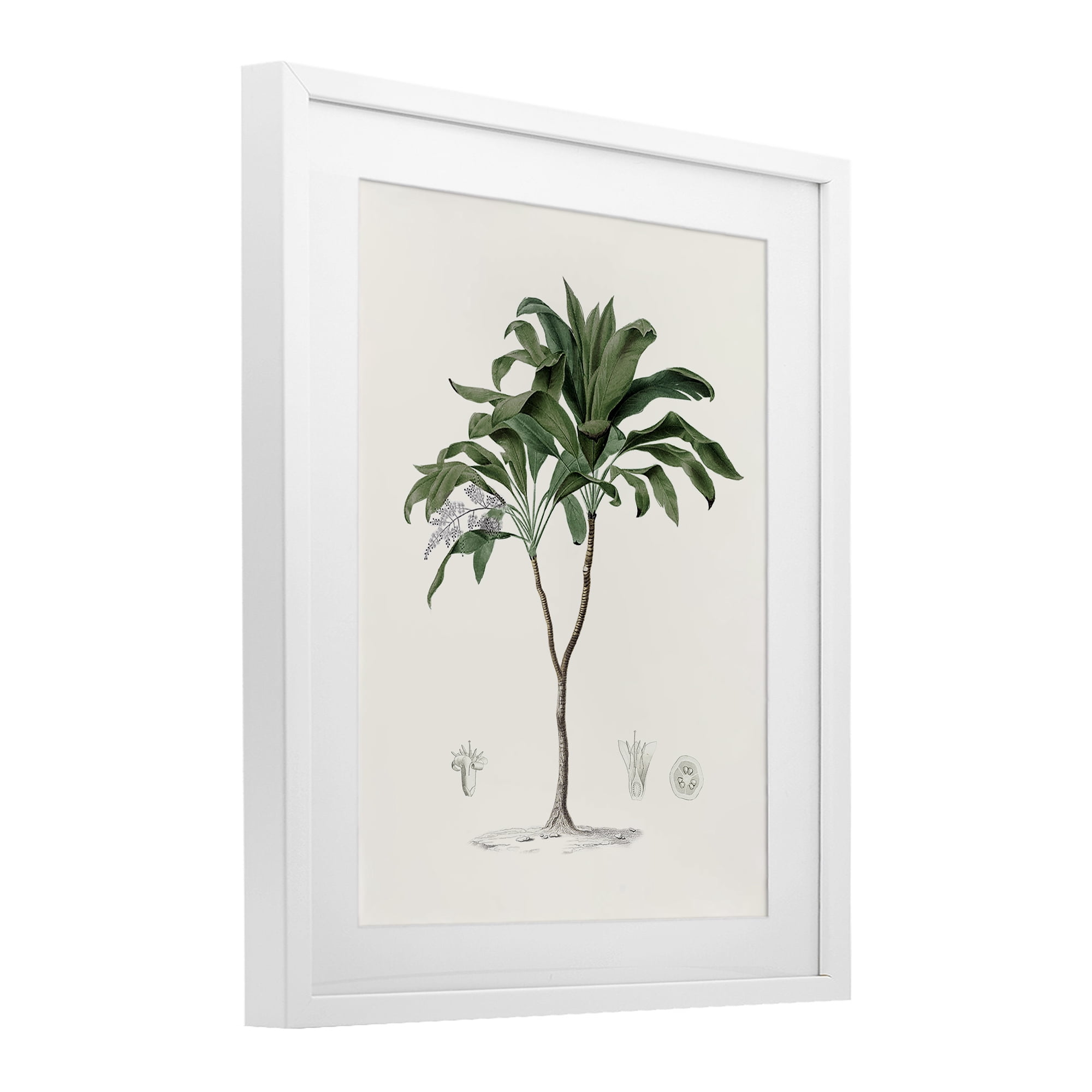 Stupell Industries Coastal Palms Vintage White Framed Print Under Glass, design by Val Rhodes