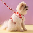 thumbnail image 1 of Conjunto de arnés de seguridad ajustable para perros y cachorros, correa para perros acolchada y transpirable, chaleco con arnés para el pecho con asa para perros pequeños, medianos y grandes, entrenamiento para caminar-M, rojo oso de fresa Electrónica, 1 of 5