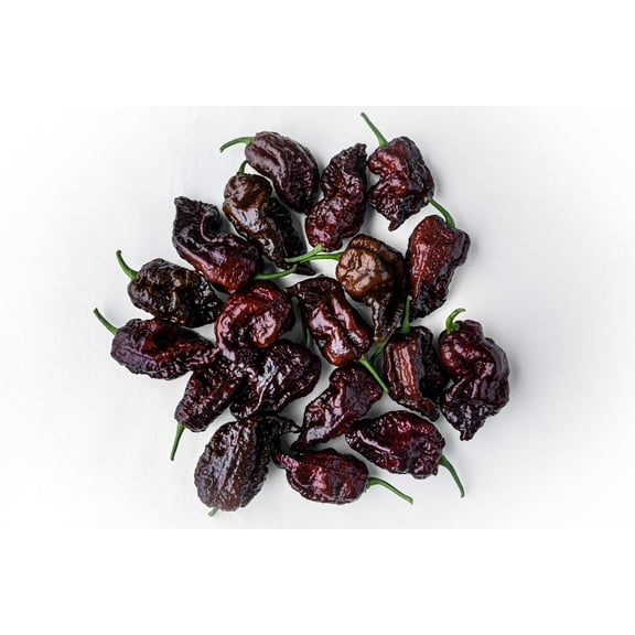 10 * SEEDS Chocolate CAROLINA REAPER PEPPER World's Hottest Capsicum Brown Chili