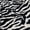 Black/White, variant on Zebra Print Soft Minky