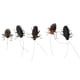 thumbnail image 5 of 5 Piezas Juguetes de Falsos Simulados Juguete de Suministros de Fiesta de Halloween Modelos Educativos Imán de Nevera Cucaracha Baoblaze Decoración realista de insectos, 5 of 7