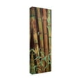 thumbnail image 2 of Trademark Fine Art 'Bamboo Finale I' Canvas Art by Suzanne Wilkins, 2 of 4