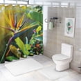 thumbnail image 7 of Orinice  Plant Shower Curtain, Close-up Image of Strelitzia Reginae Bird of Paradise Flower Madeira Island Portugal, Fabric Bathroom Decor Set with Hooks,  36x72, 7 of 7