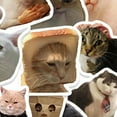 thumbnail image 3 of CCOCC 50 Pcs Cat Stickers,Eco-Friendly Sticker Cute Stickers,Vibrant Art Long-Term Use Travel Stickers,Style10, 3 of 4