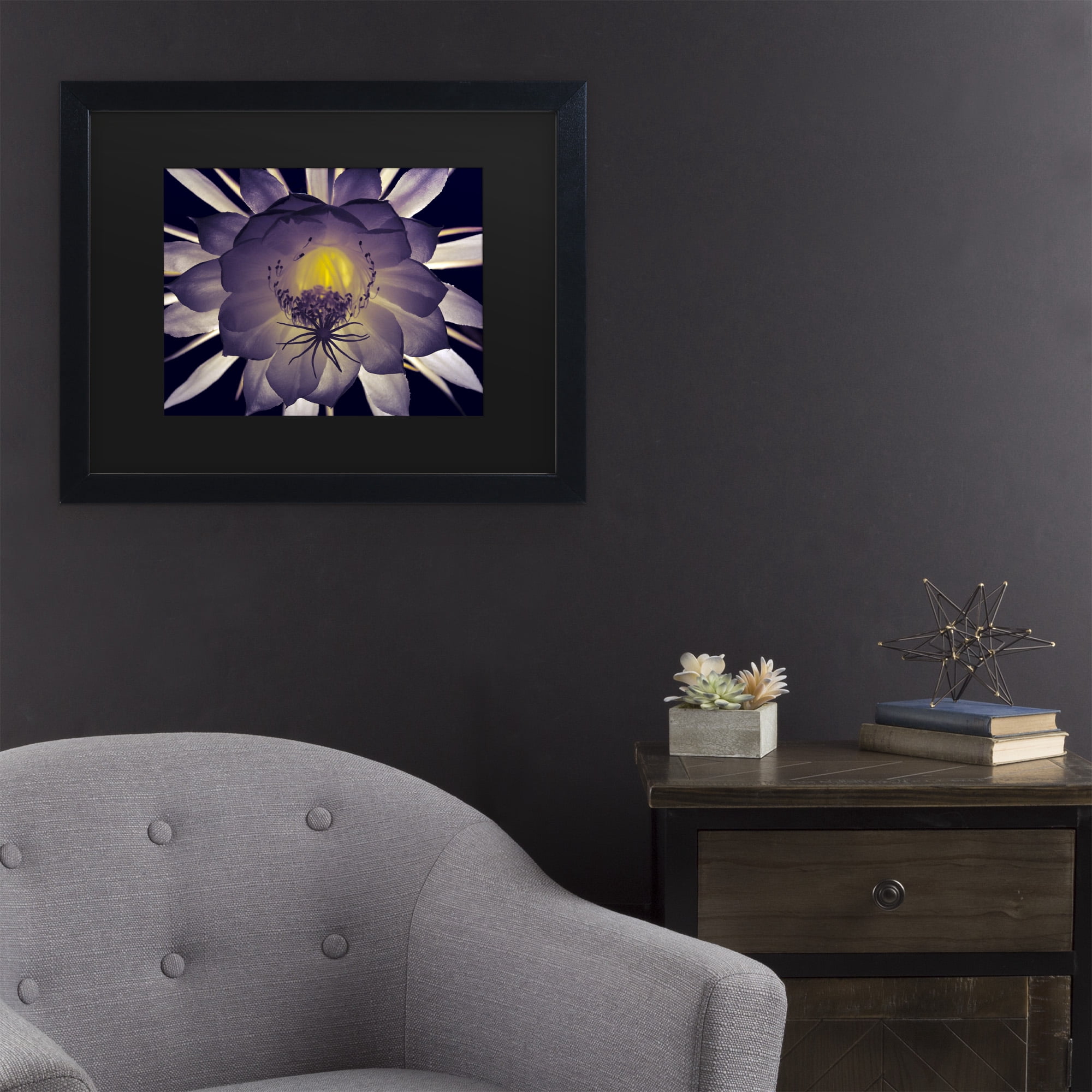 Trademark Fine Art 'Night Angel' Canvas Art by Kurt Shaffer