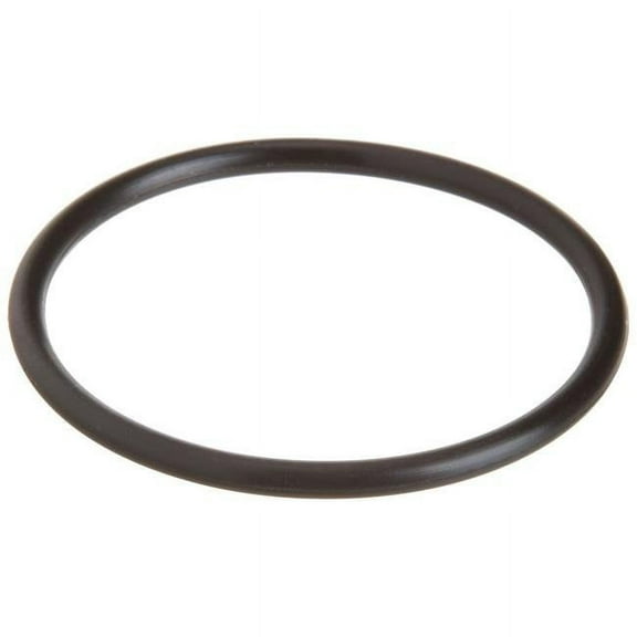 Aladdin O49 O-Ring Replacement for O-49 Pool O-Ring