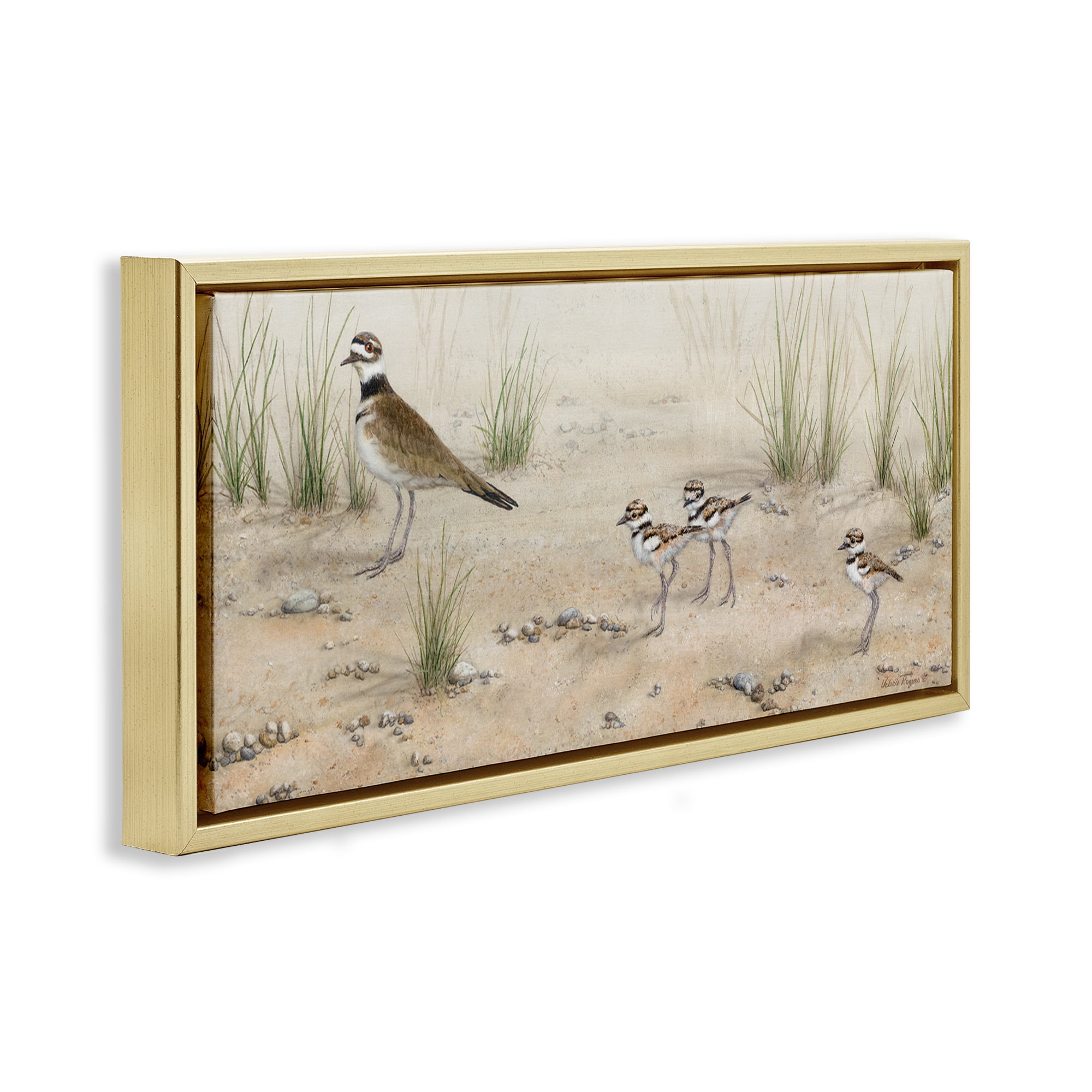 Stupell Industries Kildeer Birds Stepping Landscape & Nature Painting Gold Floater Framed Canvas Art Print Wall Art, 31 x 14
