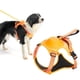 thumbnail image 2 of 2023 NewDog Harness with Retractable Dog Leash as One No-Pull Pet Harness with Adjustable Soft Padded Dog Vest ShopWise Round, 2 of 31