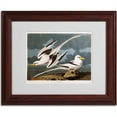 thumbnail image 2 of Trademark Fine Art "Tropic Bird" Canvas Art by John James Audubon, Wood Frame, 2 of 3