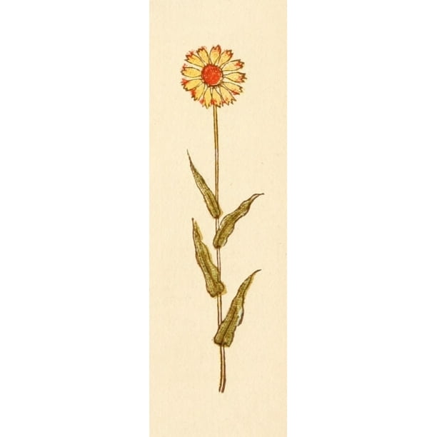 Language of Flowers 1884 Sunflower Poster Print by Kate ...