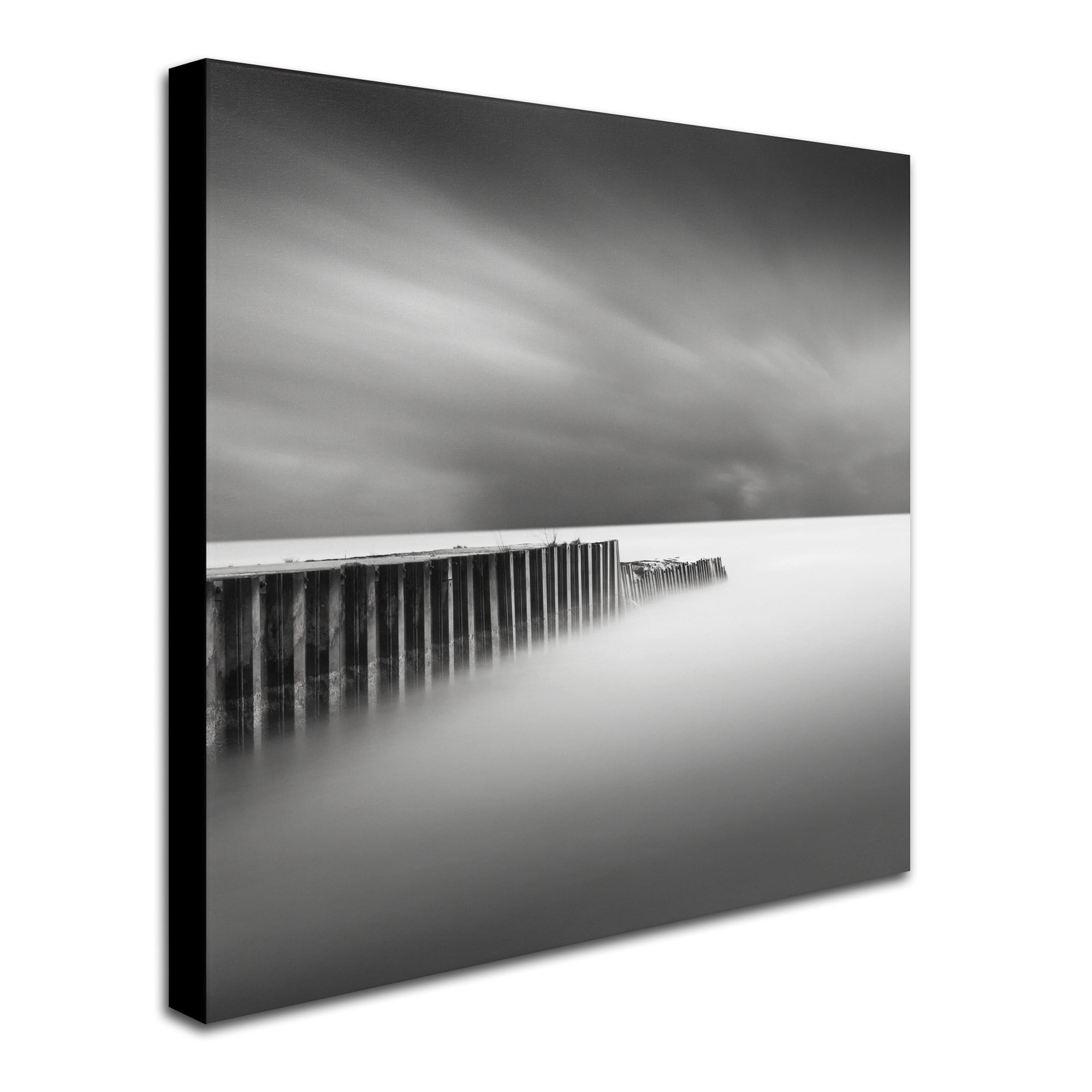 Trademark Fine Art Dave MacVicar 'Stormy' 24 x 24 (ALI0855-C2424GG)