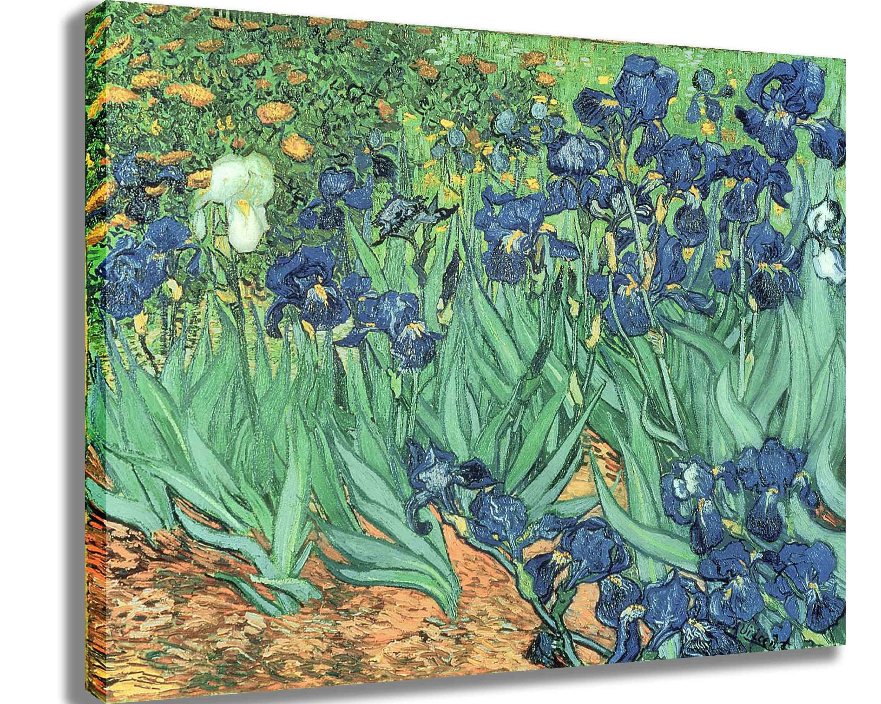 van Gogh "Irises" (1889) Canvas Print