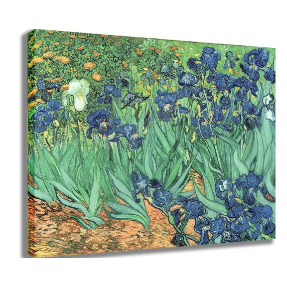 van Gogh "Irises" (1889) Canvas Print