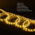 thumbnail image 3 of JUNWEN Luces de cuerda LED de 40 pies para exteriores, blanco cálido, conectables, impermeables, 110 V, 432 LED, iluminación de cuerda LED flexible para pasarelas, patios, jardines, cercas, porches, d, 3 of 5