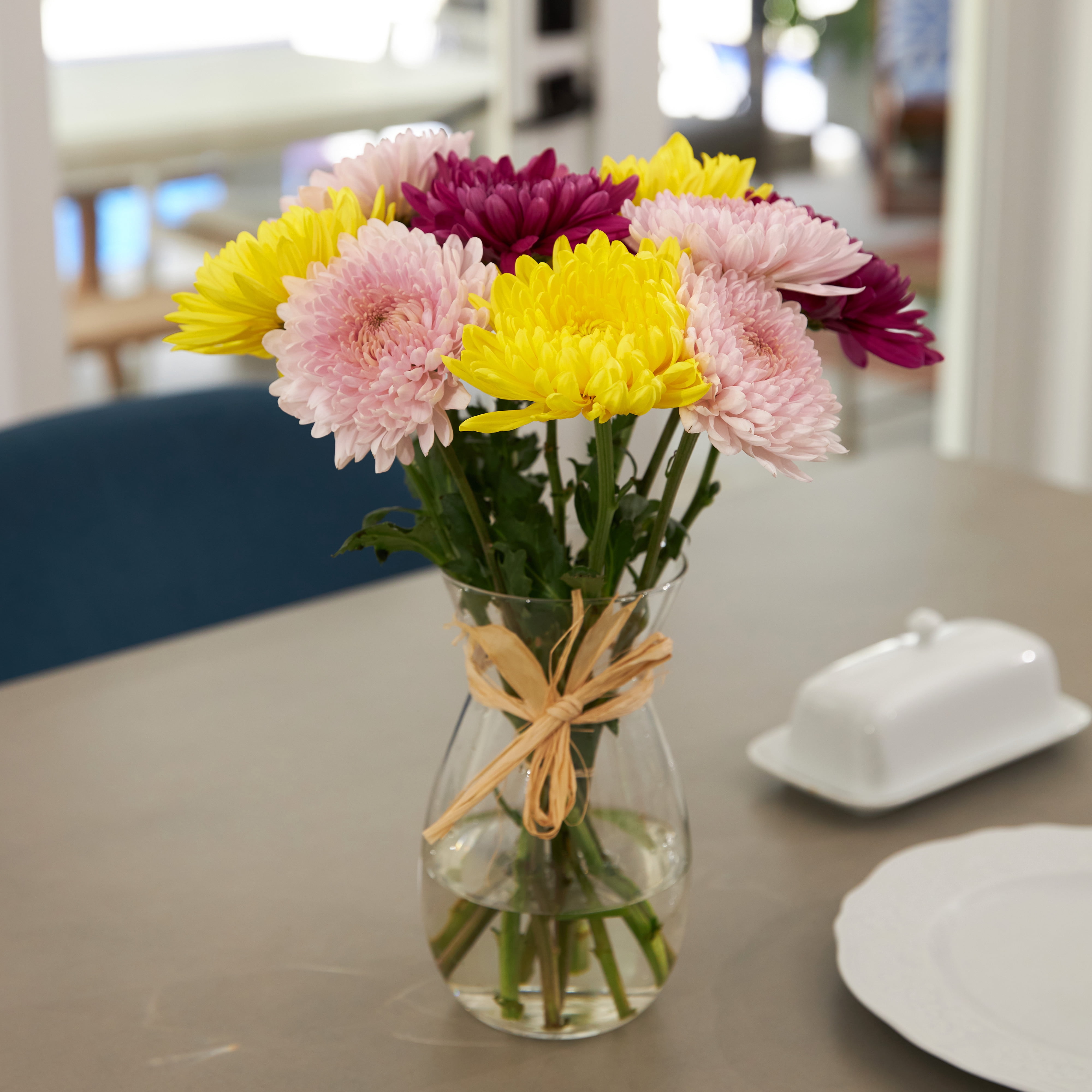 Fresh-Cut Jumbo Mums Flower Bunch, Colors Vary