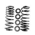 thumbnail image 1 of RESORTE DE SUSPENSION LINCOLN TOWNCAR 1995 al 2002 LINCOLN Trasero SYD ., 1 of 4