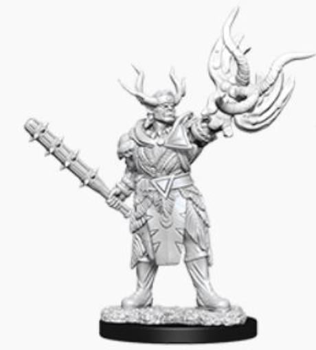 Pathfinder Deep Cuts Unpainted Miniatures W10 Male Half-orc Druid for sale online 