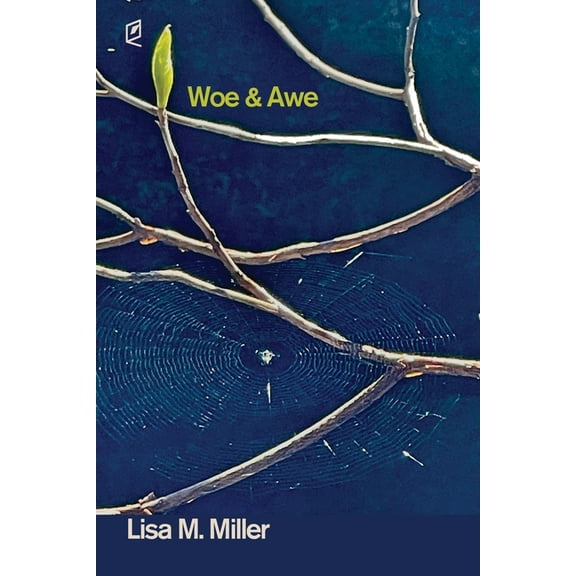 Woe & Awe, (Paperback)