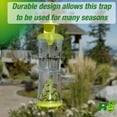 thumbnail image 5 of RESCUE! Non-Toxic Wasp, Hornet, Yellowjacket Trap WHY Trap Attractant Refill - 2 Week Refill - 2 Pack, 5 of 5
