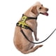 thumbnail image 2 of Balery Honeybee Arnés para Perros Grandes Antitirones, Arnés con Correa para Gato, Arnés Tipo Chaleco para Perros Pequeños-Small, 2 of 6