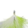 thumbnail image 2 of Trout Magnet D2 Jig Neon Shadkill 1/16 oz, 2 of 2