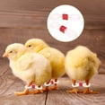 thumbnail image 5 of Uxcell 50-Pack Adjustable Chick Leg Bands, 0.79" x 0.2" Silicone Chicken Leg Brace for Poultry/Duck/Chick [Red], 5 of 6