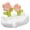 White_ little flower, variant on lanema Flower Shape Ceramic Soap Tray Soap Dish for Bathroom Charm Flower Ceramic Soap Holder, for Bathroom or Kitchen