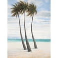 thumbnail image 2 of FISK, Arnie 14x18 Black Ornate Wood Framed with Double Matting Museum Art Print Titled - Breezy Palm 2, 2 of 4