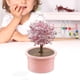 thumbnail image 5 of Novedad Crystal Tree Growing , Crystal Science Experiments Toy, Learning Educational Toy, Science s para pequeños Niñas Rojo Sunnimix Crecimiento de cristales, 5 of 8