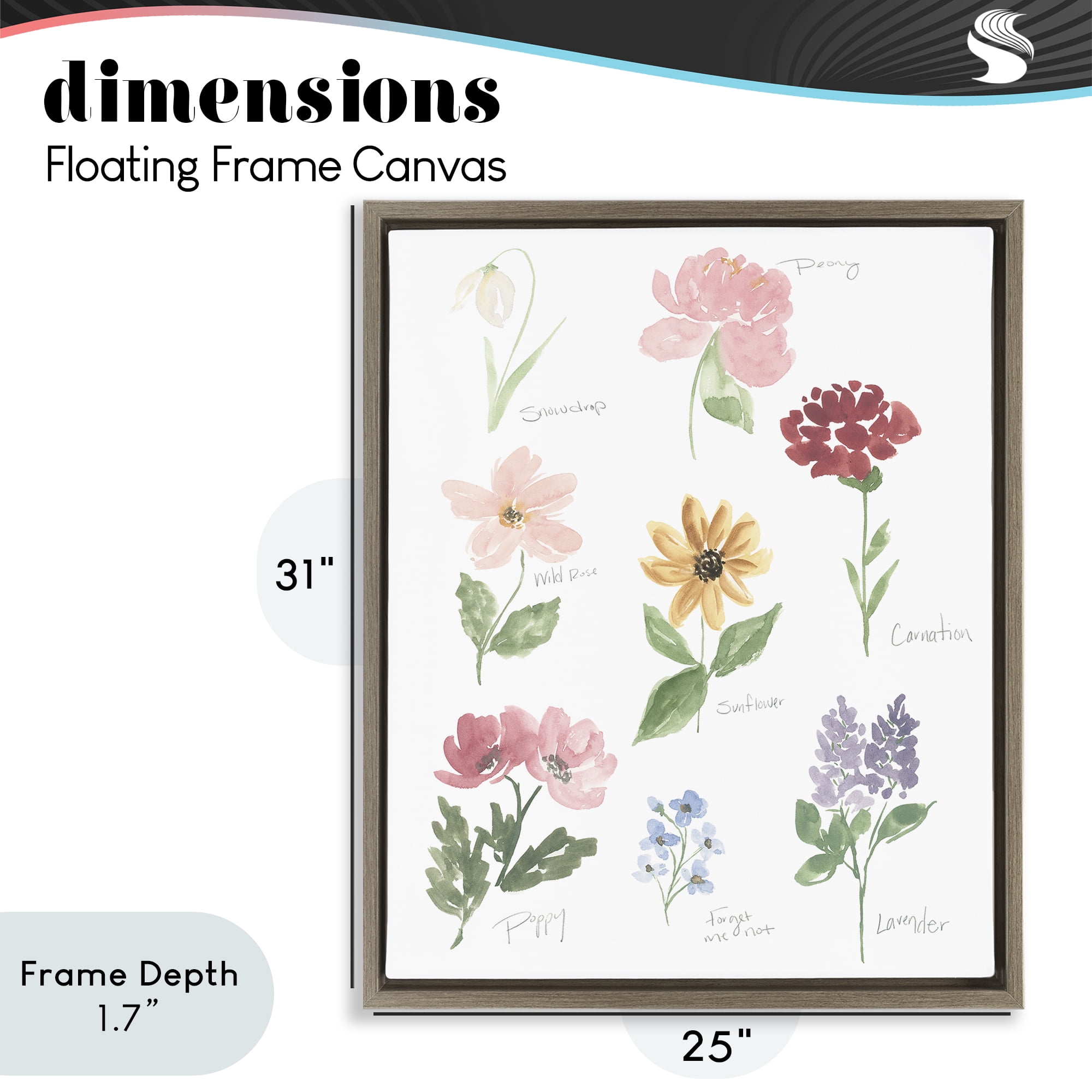 Stupell Industries Labeled Flower Varieties Brown Framed Floater Canvas Wall Art, design by Lucille Price