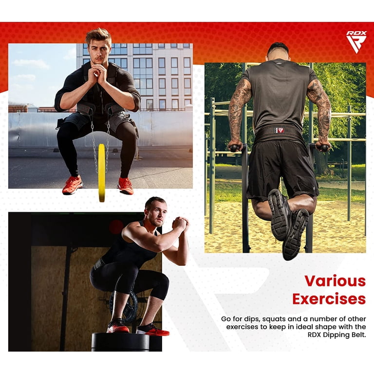 Ceinture Lestée RDX 6'' Dip Belt – Chaîne 91cm 272 Kg Max Musculation Dips Tractions Powerlifting