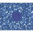 thumbnail image 2 of CafePress - Little Swimmers Blue Throw Blanket - Soft Fleece Throw Blanket, 50"x60" for All Ages, 2 of 4