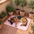 thumbnail image 5 of Pink Large Pet Cooling Mat for Dogs and Cats, Washable Ice Silk Summer Chill Pad, Non-Slip Breathable Self Cooling Pet Bed Mat, 28x22 Inch, 5 of 6