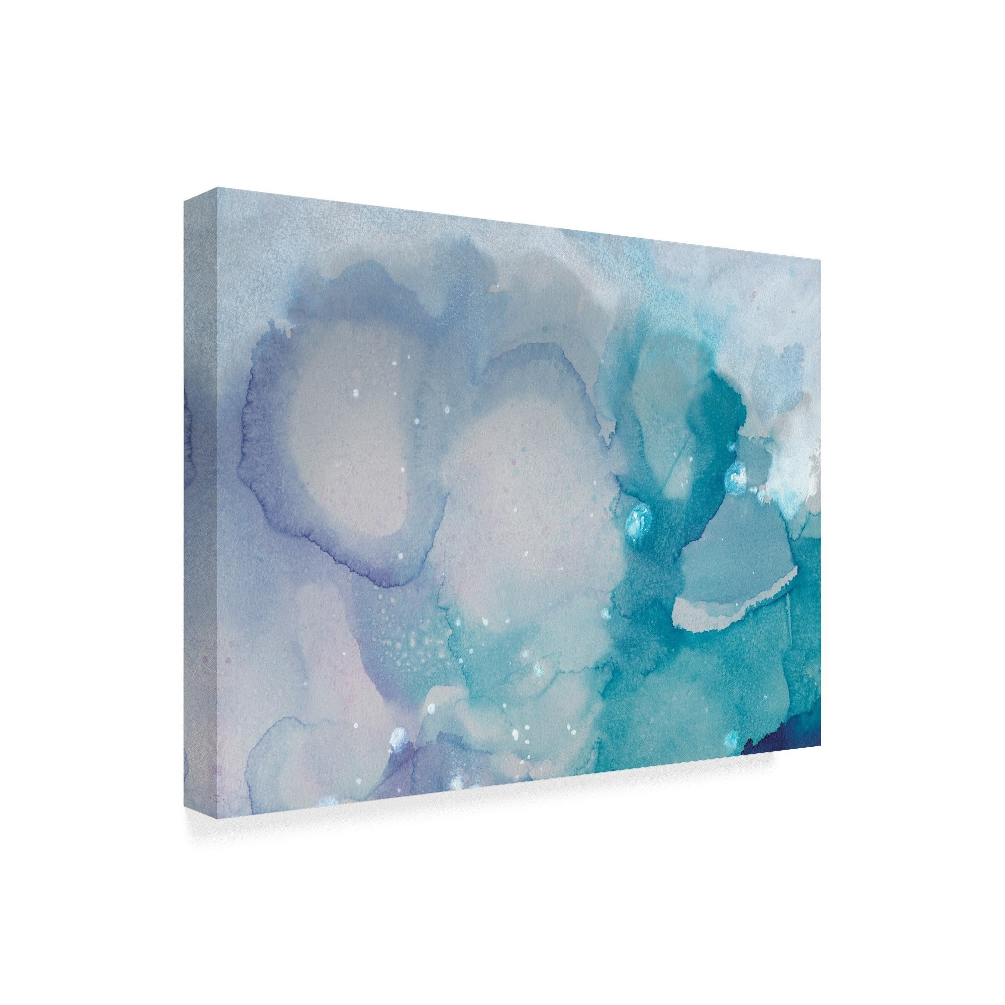 Trademark Fine Art 'Ice Crystals I' Canvas Art by Joyce Combs