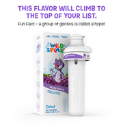 (2 pack) Cirkul Wild Splash Gecko Grape Flavor Cartridge, Drink Mix, 1-Pack