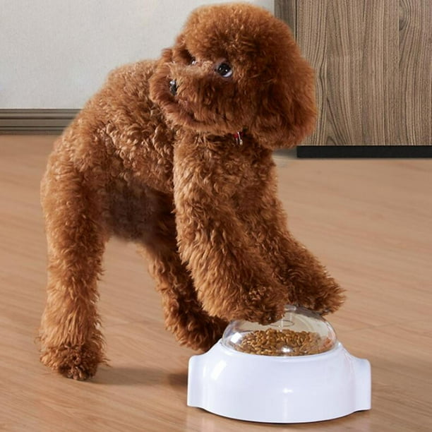 Dog food and toys sales