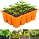 thumbnail image 4 of Propagación Semillas Contenedor La Planta Flores Semilla Cultiva Cajas Bandejas Inicio Plántulas 12 Agujeros Silicona Transpirable Reutilizable para Casa Y Jardines Verdes, 4 of 9