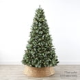 thumbnail image 2 of Árbol de Navidad Best Choice Products pino ESCOCÉS preiluminado 6 pies con 250 luces LED, 2 of 7