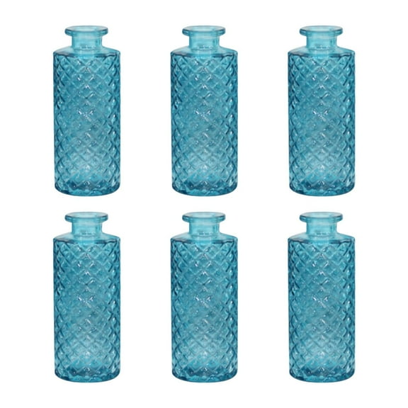 TISHITA 6x Glass Bud Vases Flower Arrangement Display for Office Living Room Kitchen