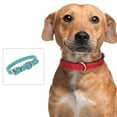 thumbnail image 4 of Collar de cuero para perros, collares ajustables para cachorros, collares para perros pequeños, collar multicolor para mascotas, 4 of 5