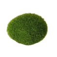 thumbnail image 1 of Rocas Maceta Decoración Hermosas Bolas De Musgo Para Plantas En Maceta Bosque Serendint HA040672-00, 1 of 6