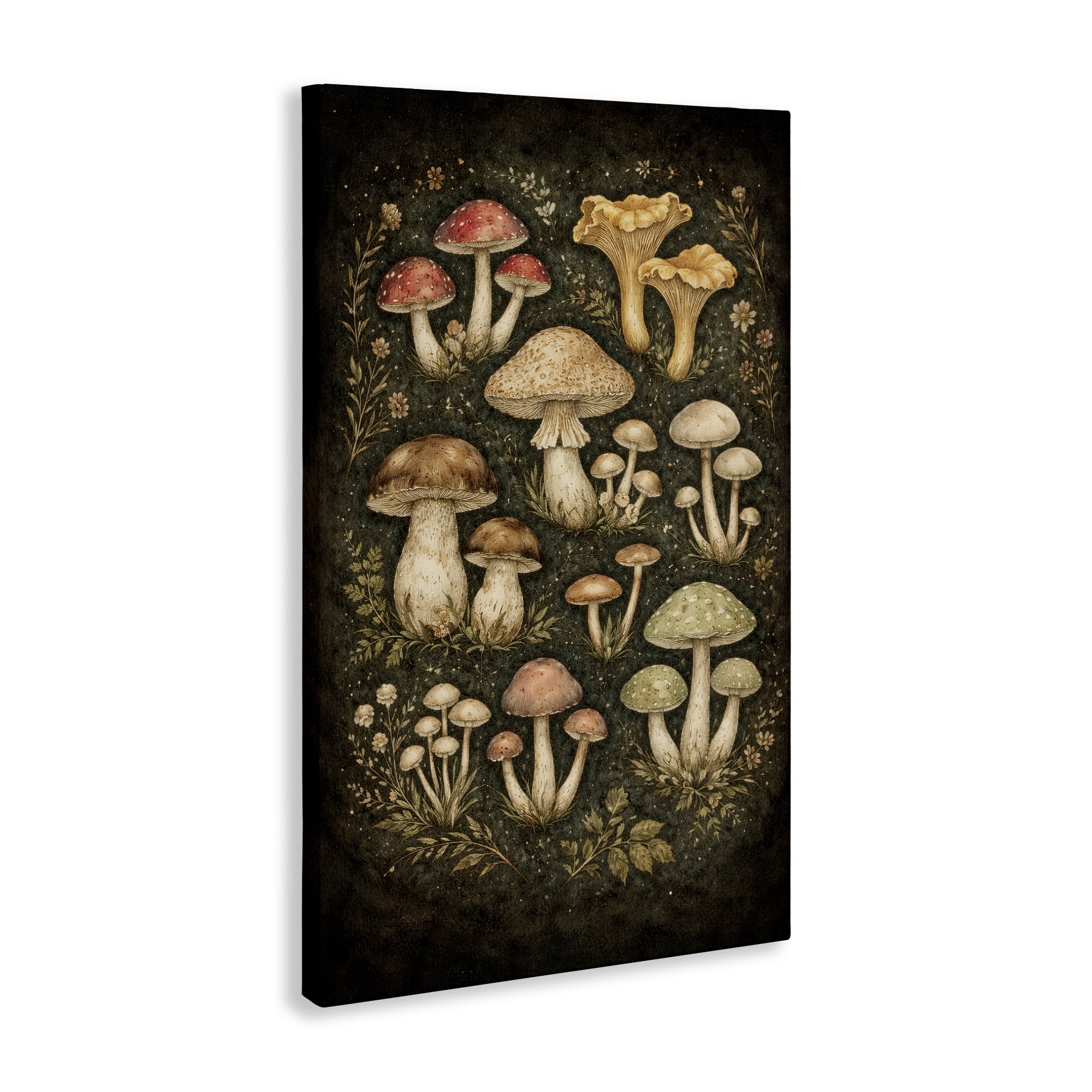 Stupell Industries Organic Sprouting Mushrooms Canvas Wall Art, design by Tom Crehan