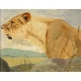 thumbnail image 2 of Wilhelm Kuhnert 24x20 Black Ornate Framed Double Matted Museum Art Print Titled: Head of a Lioness (1891), 2 of 5