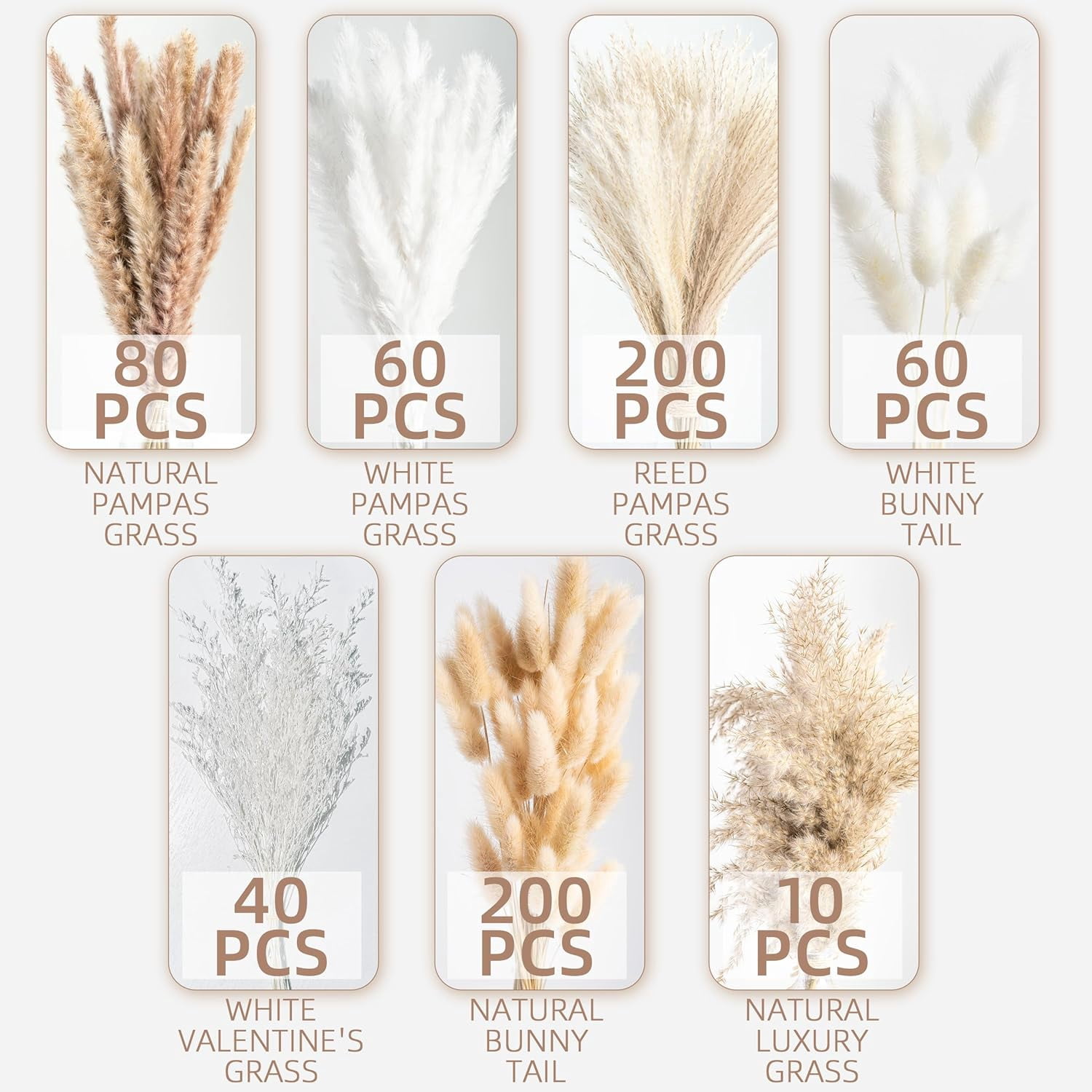 650PCS Natural Dried Pampas Grass Bouquet, Phragmites Dried Flowers Boho Home Decor for Wedding Floral Arrangements & Living Room Decorations