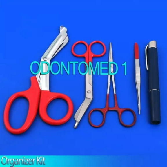 Nurse Nylon Pocket Organizer Kit New,Red