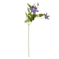 thumbnail image 1 of Vickerman FD180466 25 in. Light Purple Clematis Stem, 1 of 3