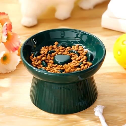 2 Pcs Raised Cat Slow Feeder Bowl Ceramic Elevated Cat Dog Food Bowl No Spill High Edge for Dry Wet Food and Water Easy to Clean, Dishwasher Safe (Dark Green)