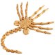 thumbnail image 3 of Facehugger Model Fully Articulated Movie Prop Local Gold, 3 of 5