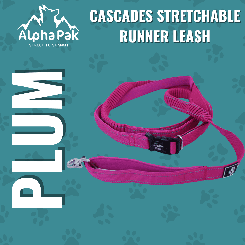 Alpha Pak | Cascades Stretchable Runner Dog Leash | Hands-Free | Reflective | Durable | 6-10 ft. Stretched | Plum